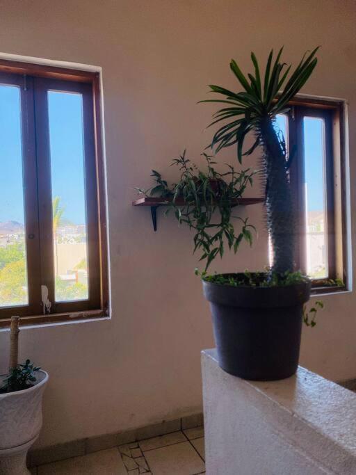 Casa Bahia 2 Blocks Malecon Amaizing Ocean View Apartment La Paz Ngoại thất bức ảnh